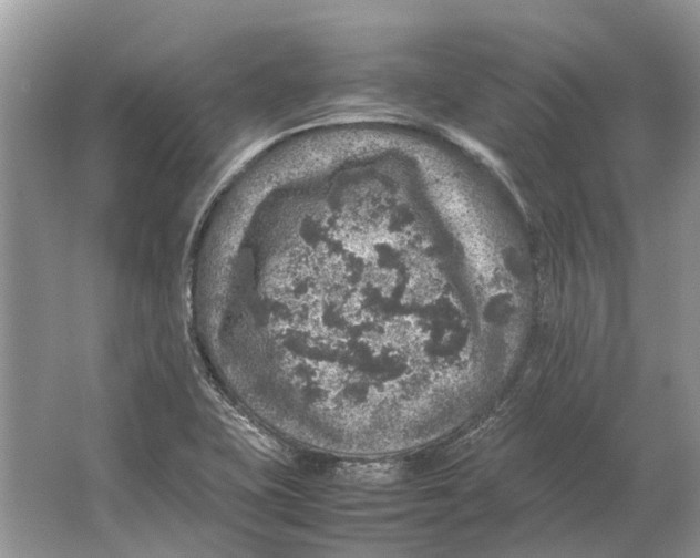 X0000064771415200603031813