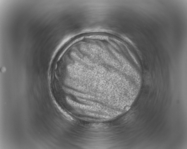 X0000064771416200603031813