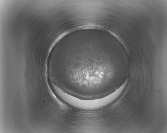 X0000064771418200603031813