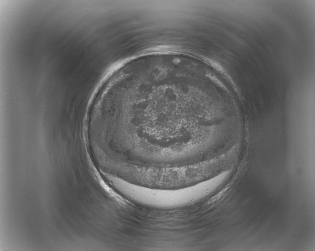 X0000064771421200603031813