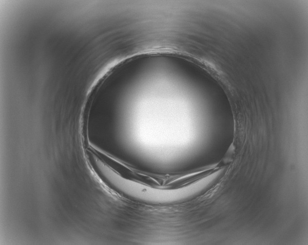 X0000064771422200603031813