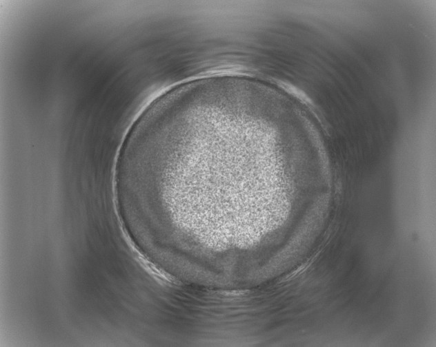 X0000064771423200603031813