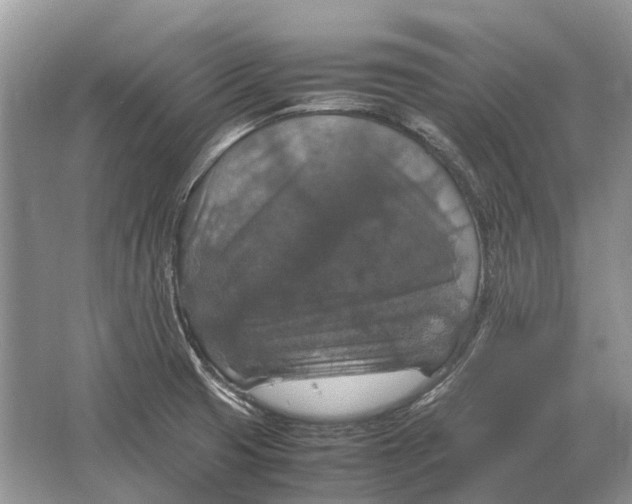 X0000064771425200603031813