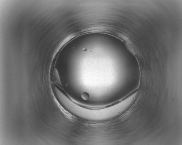 X0000064771426200603031813