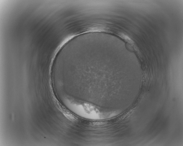 X0000064771427200603031814