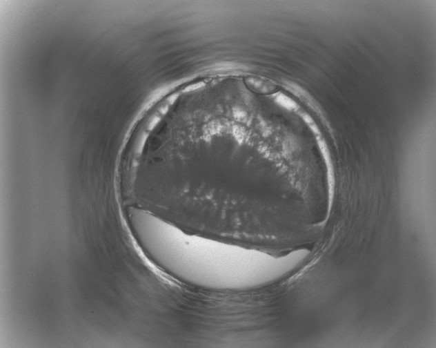 X0000064771429200603031814