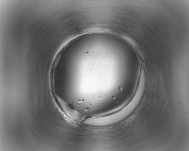 X0000064771430200603031814