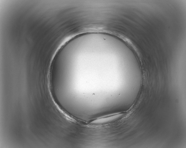 X0000064771432200603031814