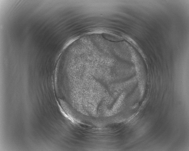 X0000064771433200603031814