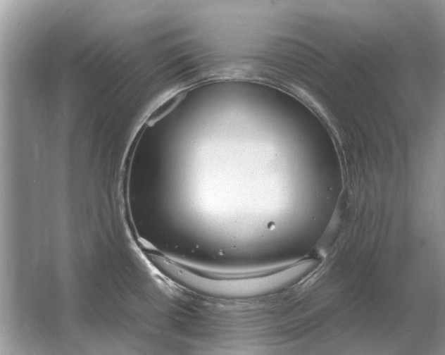 X0000064771434200603031814