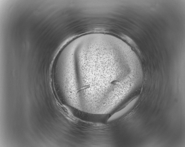 X0000064771435200603031814