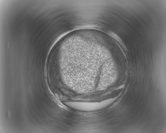 X0000064771436200603031814