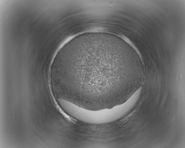 X0000064771437200603031814