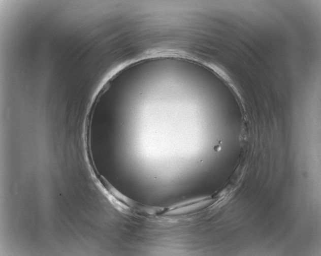 X0000064771438200603031814