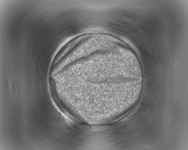 X0000064771440200603031814