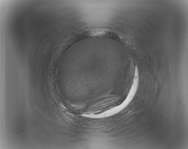 X0000064771441200603031813