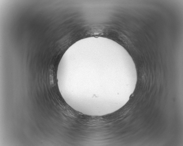 X0000064771442200603031813