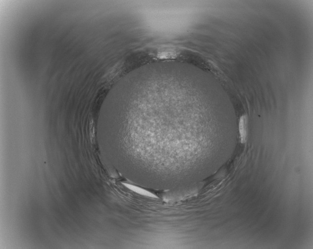 X0000064771443200603031813