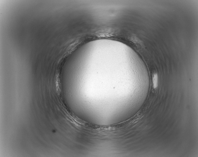 X0000064771444200603031813