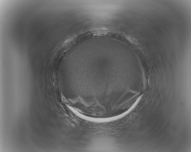 X0000064771445200603031813