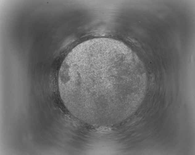 X0000064771446200603031813