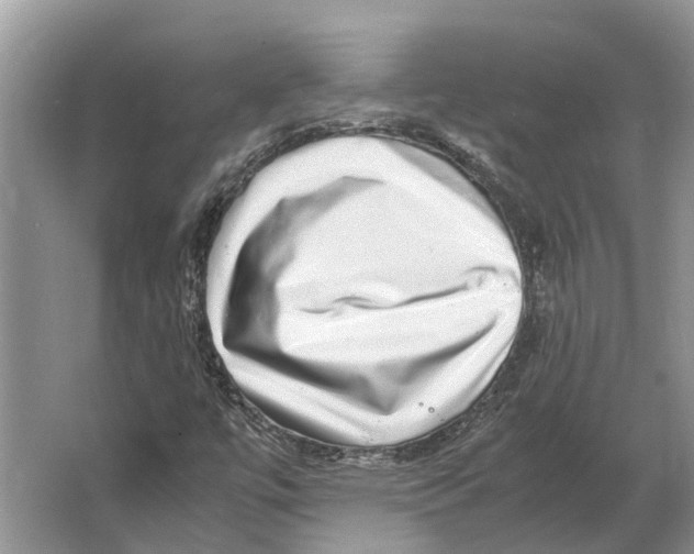 X0000064771447200603031813