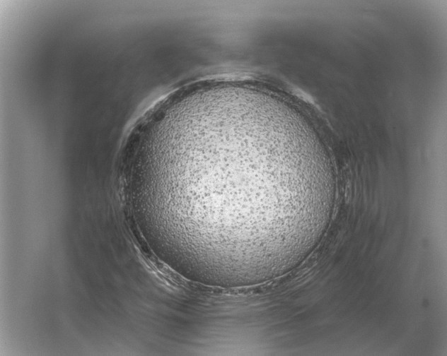 X0000064771448200603031813