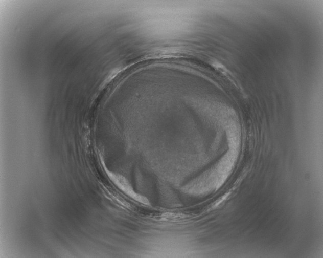 X0000064771449200603031813