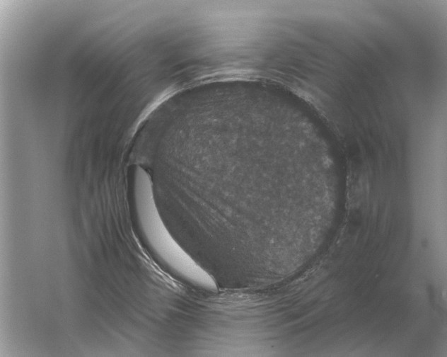 X0000064771450200603031813