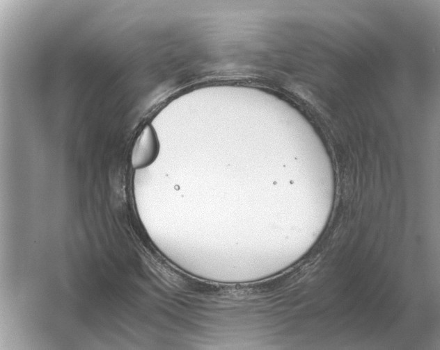 X0000064771451200603031813