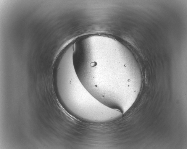 X0000064771452200603031813