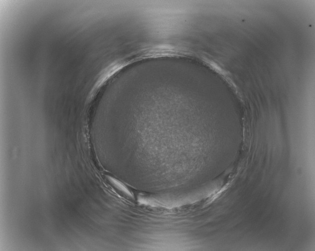 X0000064771453200603031813