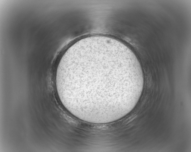 X0000064771454200603031813