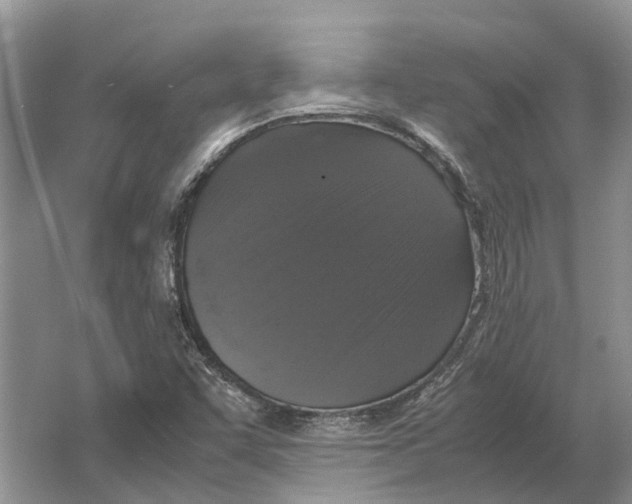 X0000064771455200603031813