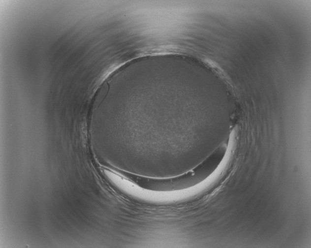 X0000064771457200603031813