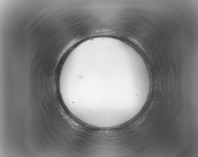 X0000064771458200603031813