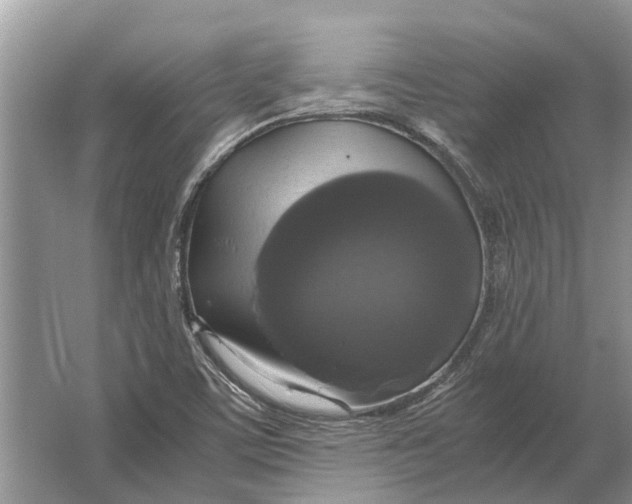 X0000064771459200603031813