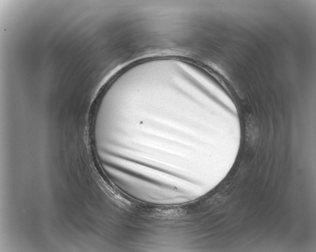 X0000064771460200603031813