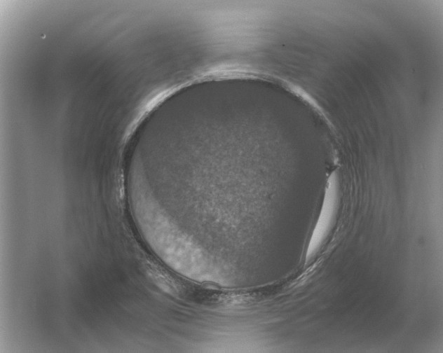 X0000064771461200603031813