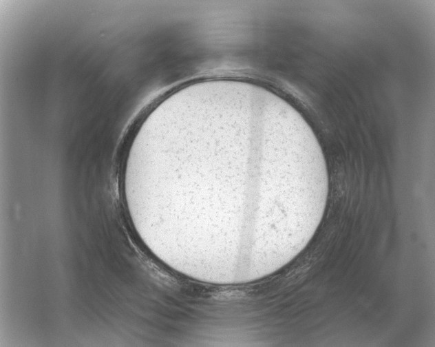 X0000064771462200603031813