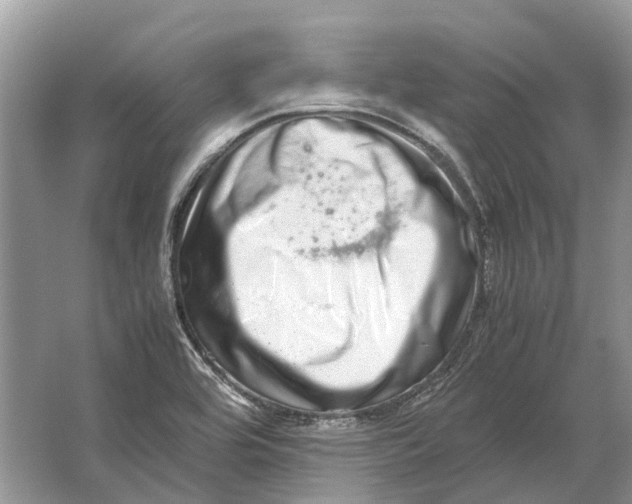 X0000064771464200603031813