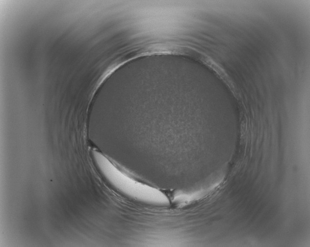 X0000064771465200603031812