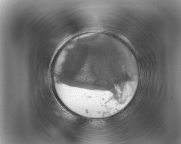 X0000064771466200603031812