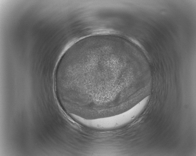 X0000064771467200603031812