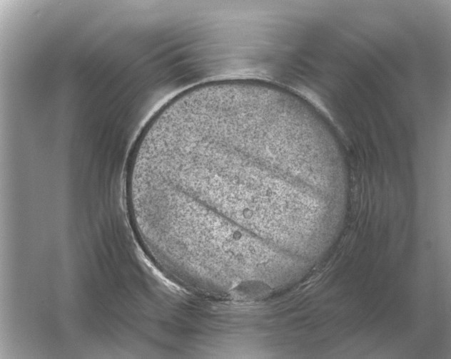 X0000064771468200603031812