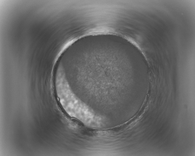 X0000064771469200603031812