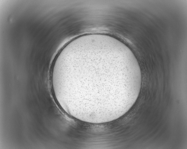 X0000064771470200603031812