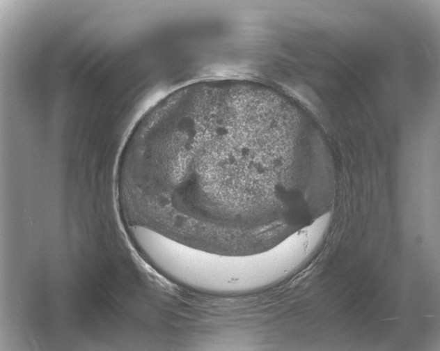 X0000064771471200603031812