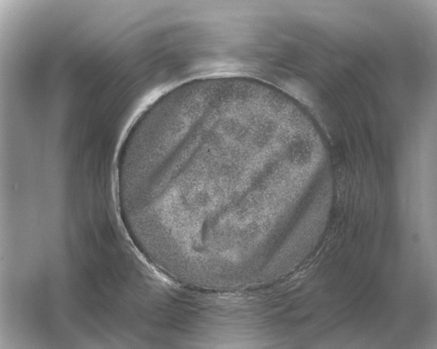 X0000064771472200603031812