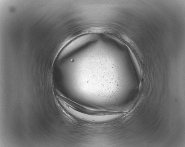 X0000064771473200603031812